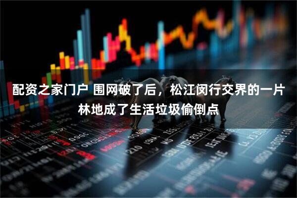 配资之家门户 围网破了后，松江闵行交界的一片林地成了生活垃圾偷倒点